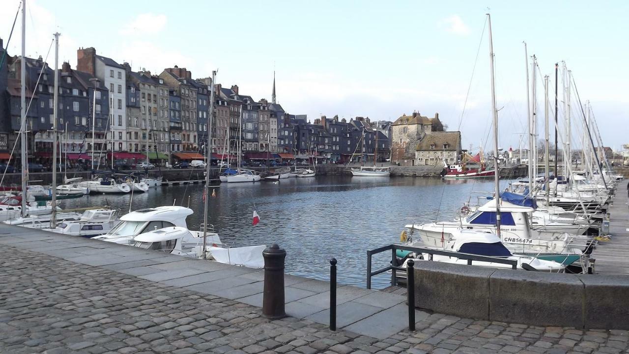 Rosalina - Honfleur Equemauville